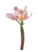 Faux Flowers