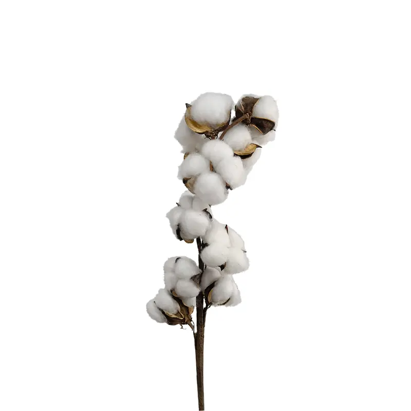 Faux Flowers