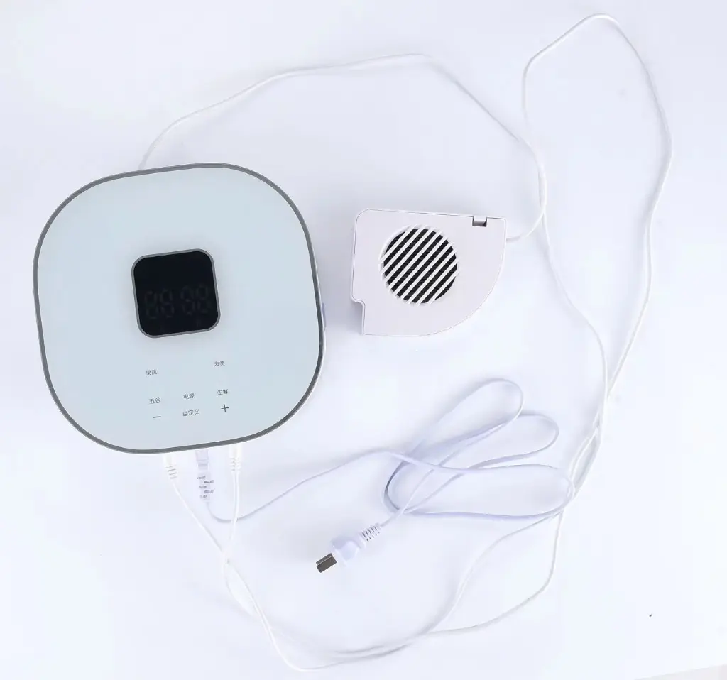 Wall-mounted food purifier