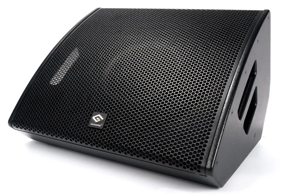 Coaxial single 12 speaker