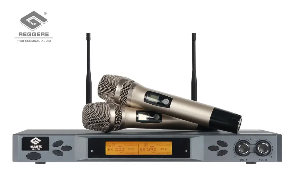 Wireless microphone (Entertainment)