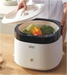 Fruit and vegetable cleaning machine