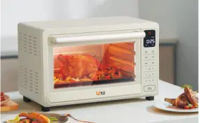 Electric oven