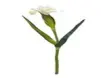 [H19118015-W] Faux Flowers