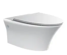 Wall-mounted toilet