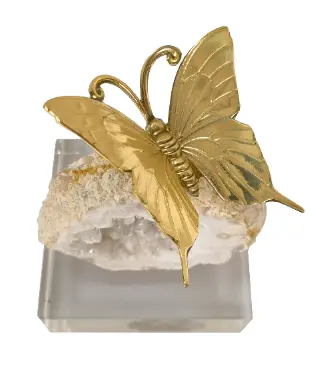 [A24210] Home Accessories