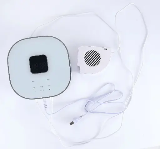 Wall-mounted food purifier