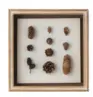 [W20008] Wall Decor