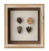 [W20011] Wall Decor