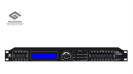 [DP8480] Speaker digital processor